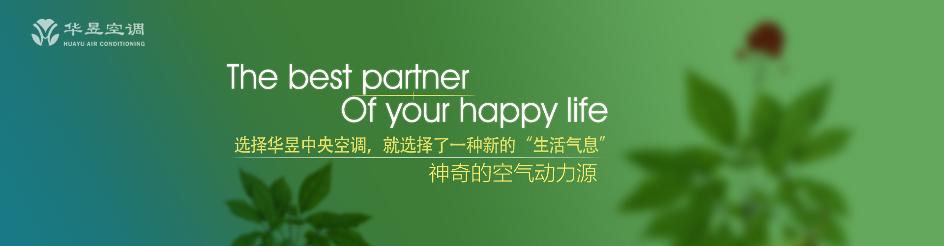 风清月朗网